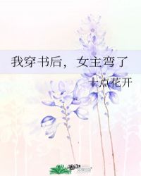 穿书后我搬弯女主ogl